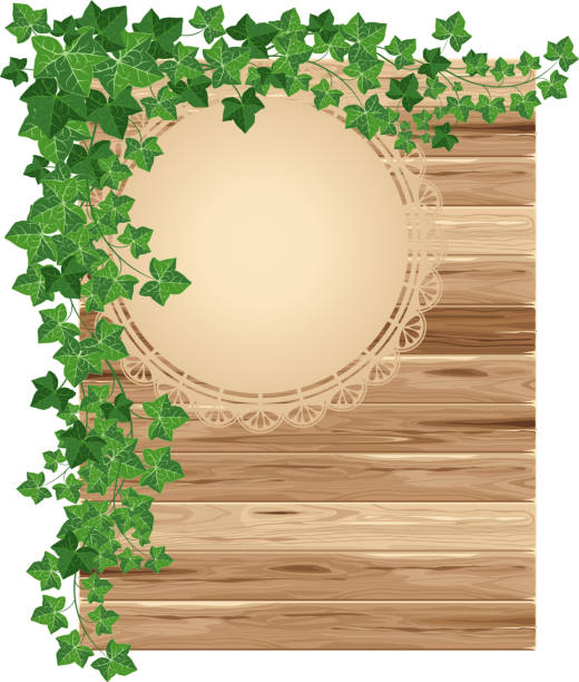 ilustrações de stock, clip art, desenhos animados e ícones de fundo de madeira com hera - ivy backgrounds wood fence