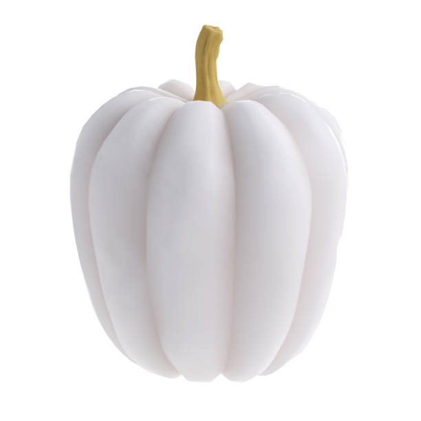 istock 3d white realistic pumpkin rendering icon in cartoon style. Design element for Thanksgiving Day holiday autumn. illustration isolated with clipping path 1644655881