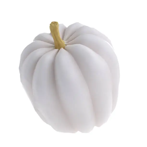 Photo of 3d white realistic pumpkin rendering icon in cartoon style. Design element for Thanksgiving Day holiday autumn. illustration isolated with clipping path