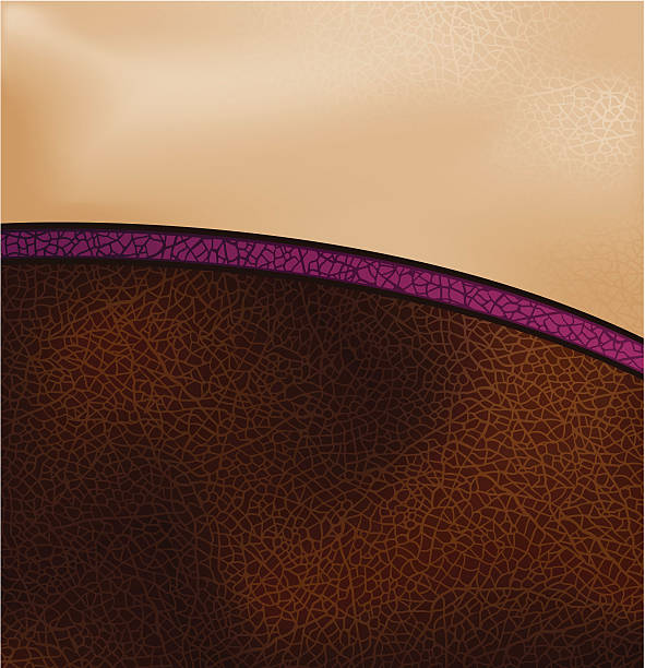 Curved leather header or footer Vector illustration of realistic brown leather in a curved arc shape with a purple trim. Transparency effects used (multiply and soft light). EPS 10 file. leather backgrounds textured suede stock illustrations