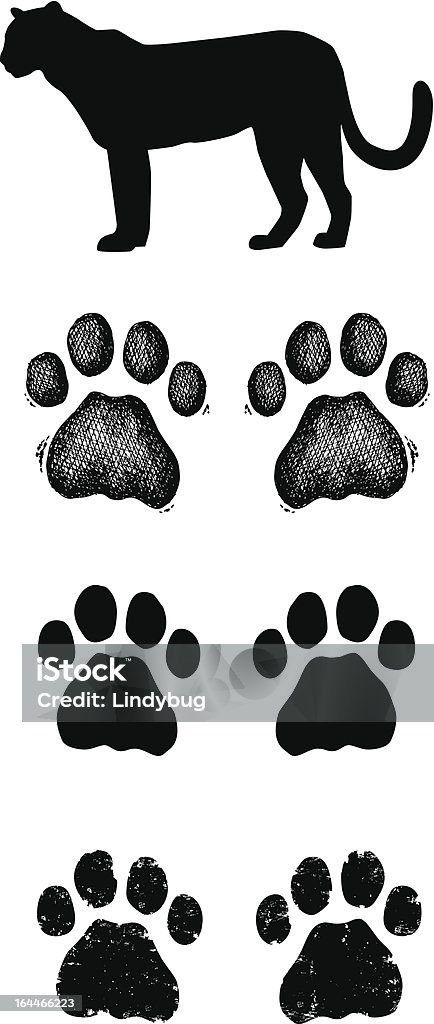 Leopardo pata impresiones - arte vectorial de Leopardo libre de derechos