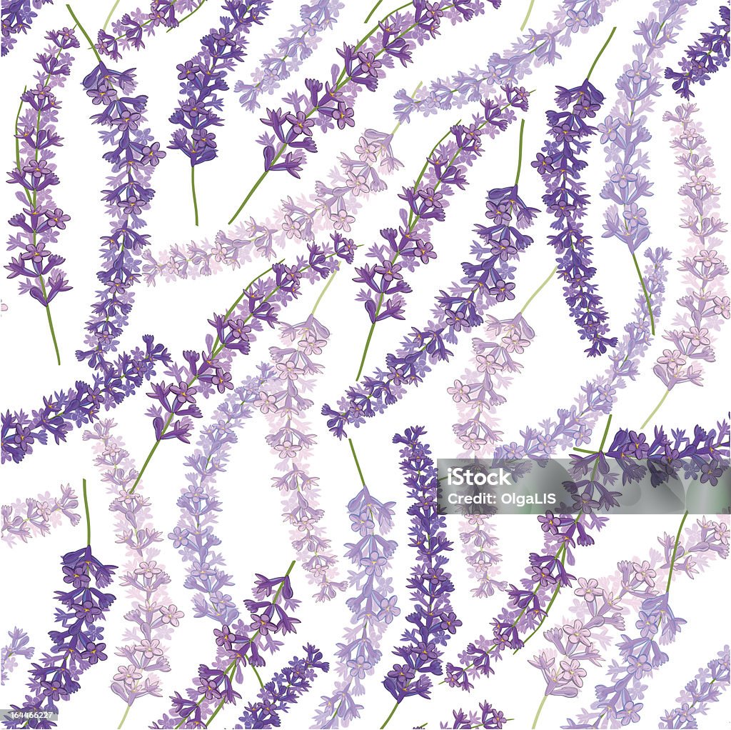Lavanda patrón sin costuras - arte vectorial de Arreglo floral libre de derechos