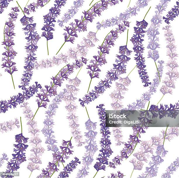 Ilustración de Lavanda Patrón Sin Costuras y más Vectores Libres de Derechos de Arreglo floral - Arreglo floral, Azul, Buqué