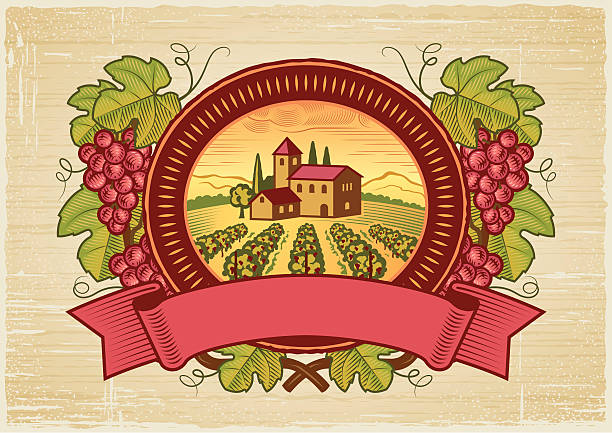 ilustrações, clipart, desenhos animados e ícones de ilustração em vetor vintage colheita da uva label - tuscany backgrounds italy textured