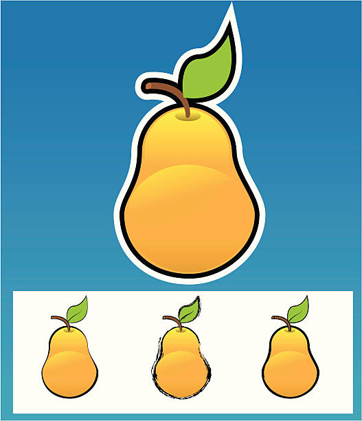 Pear-Various style. vector art illustration