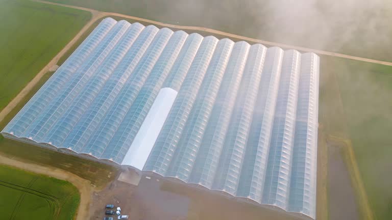 Aerial shot of greenhouses covered with white film on agricultural field