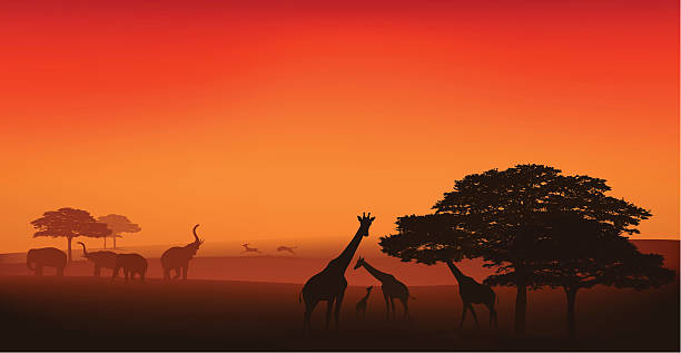 アフリカの野生動物 - サバンナ地帯点のイラスト素材／クリップアート素材／マンガ素材／アイコン素材