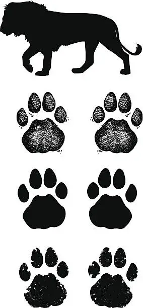 Vector illustration of Lion Paw Prints