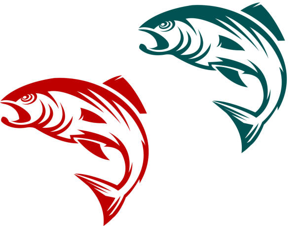 Spawning Drawing Fish 320+ Spawn Drawings Stock Photos, Pictures & Royalty-Free Images - iStock