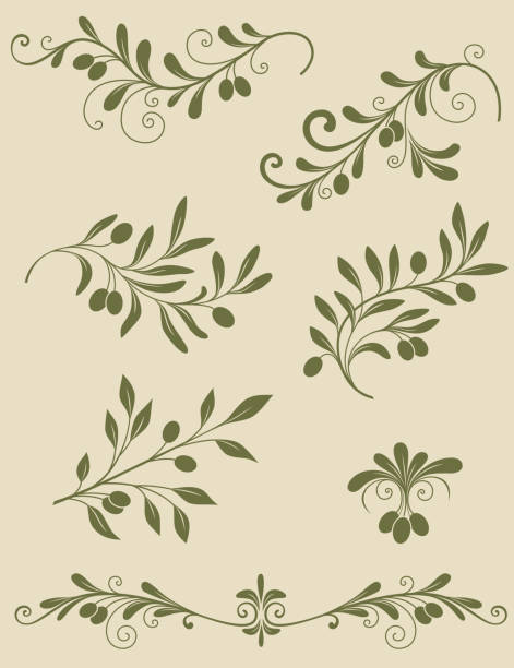 Decorative olive branch Vector vintage decorative olive branch olive branch stock illustrations