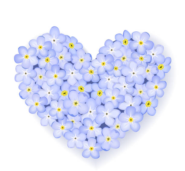 ilustraciones, imágenes clip art, dibujos animados e iconos de stock de vector floral corazón - plan flower arrangement single flower blue