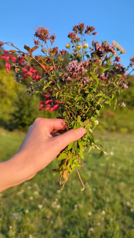 Vertical footage of a Girl is holding field bouquet of flowering herbs.