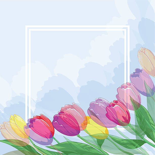 ilustrações, clipart, desenhos animados e ícones de fundo de flores de tulipas e quadro - tulip field flower cloud