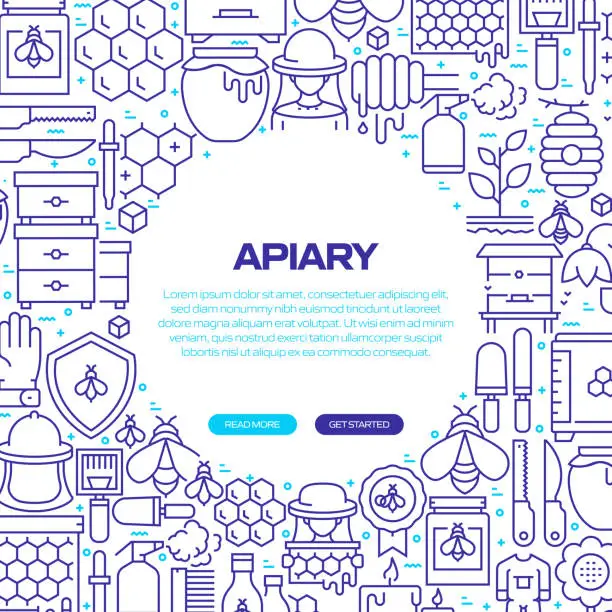 Vector illustration of APIARY Web Banner with Linear Icons, Trendy Linear Style Vector