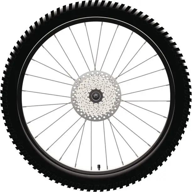 Vector illustration of Rear Bicycle Wheel