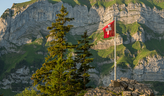 View of a Swiss flag high up in the mountains.Alpstein mountains in the background. Appenzellerland. Alpine mountains and pine trees in the background.