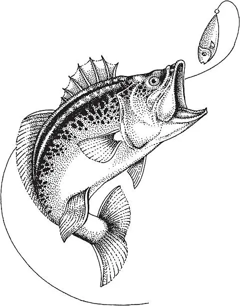 Vector illustration of Bait Fishing