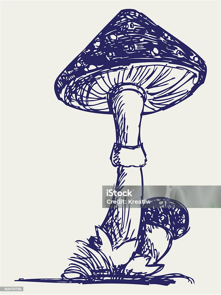 Illustrazione di fungo - arte vettoriale royalty-free di Agarico chiomato - Fungo