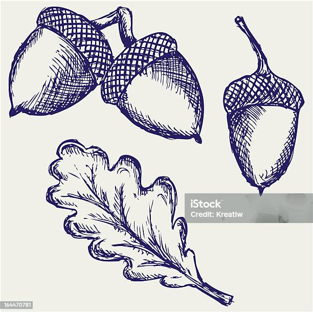 Acorn Stock Illustration - Download Image Now - Engraved Image, Oak Tree, Abstract