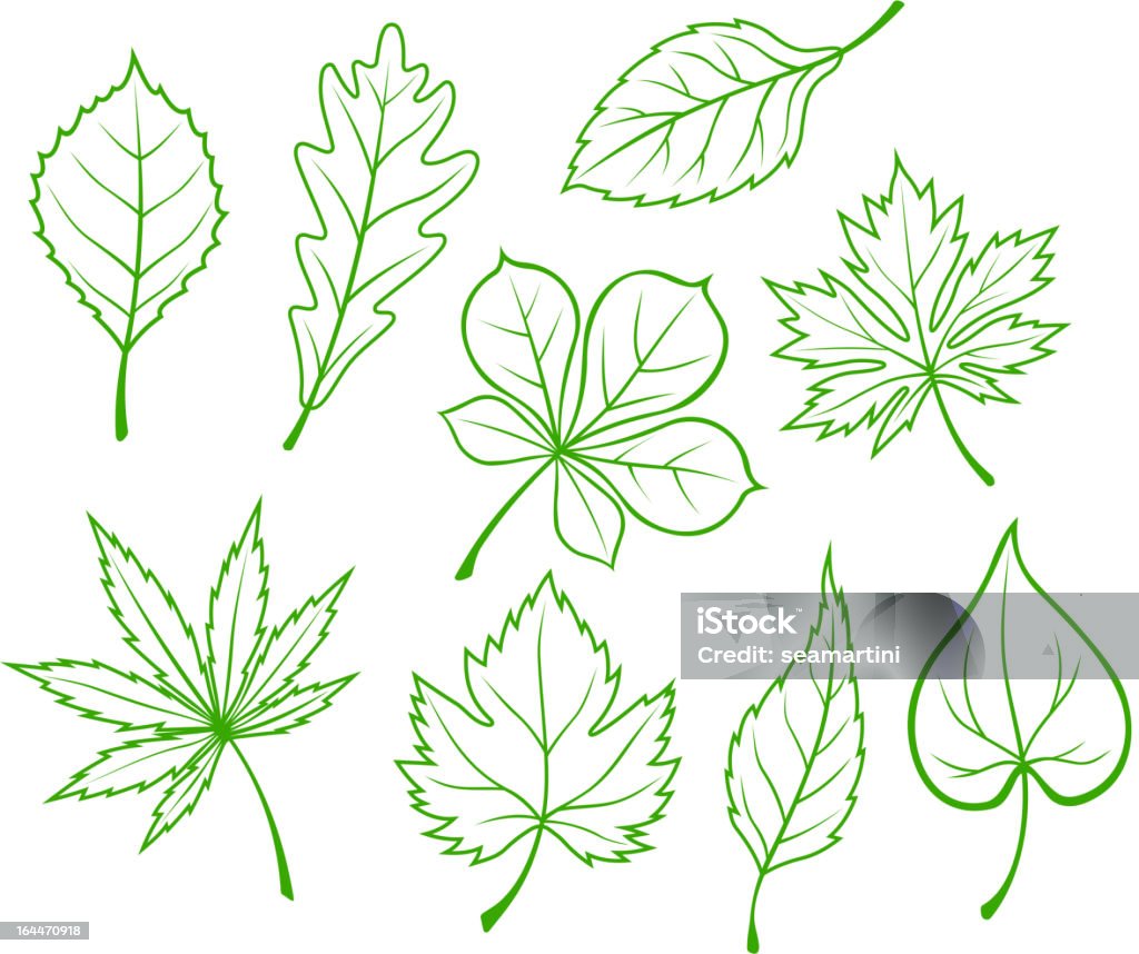 Green leaves silhouettes Set of green leaves isolated on white background Abstract stock vector