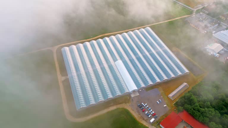 Aerial drone view of magnificent farm greenhouses on agricultural farm