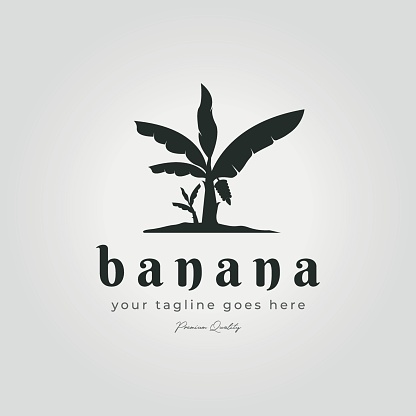 vector illustration minimalistic vintage banana tree logo icon design