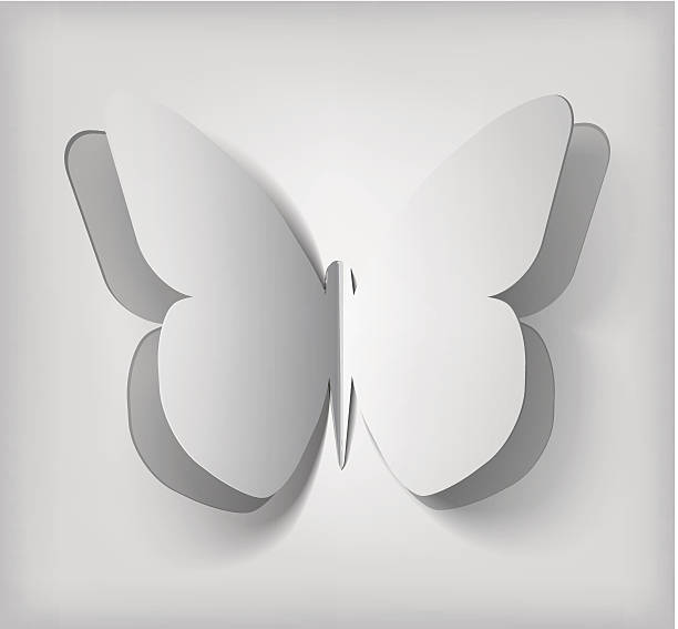 istock Vector illustration of a gray paper butterfly 164471962