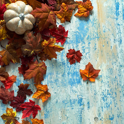 Autumn Decoration with Leafs on Rustic Background