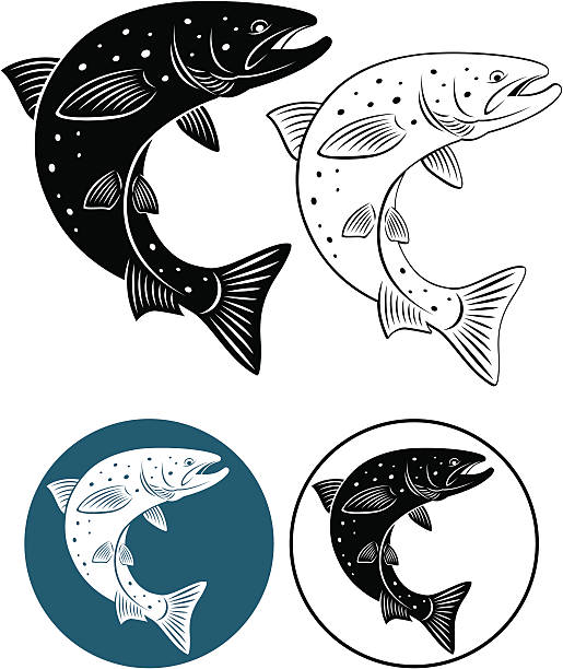 ilustraciones, imágenes clip art, dibujos animados e iconos de stock de salmón - speckled trout illustrations