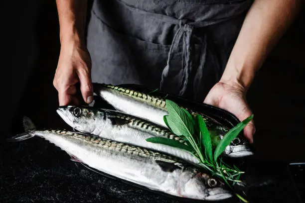 Preparation of mackerel by the chef in kitchen. Chef's hand holding fresh mackerel on plate on table.