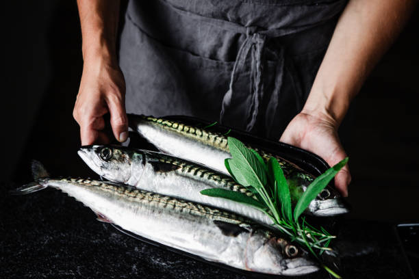 preparo da cavala pelo chef na cozinha - freshness fish food seafood - fotografias e filmes do acervo