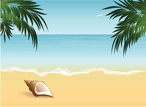 海の風景 - wave island palm tree sea点のイラスト素材／クリップアート素材／マンガ素材／アイコン素材