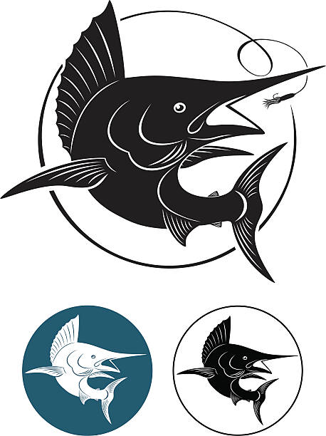 marlin the figure shows a marlin fish black marlin stock illustrations