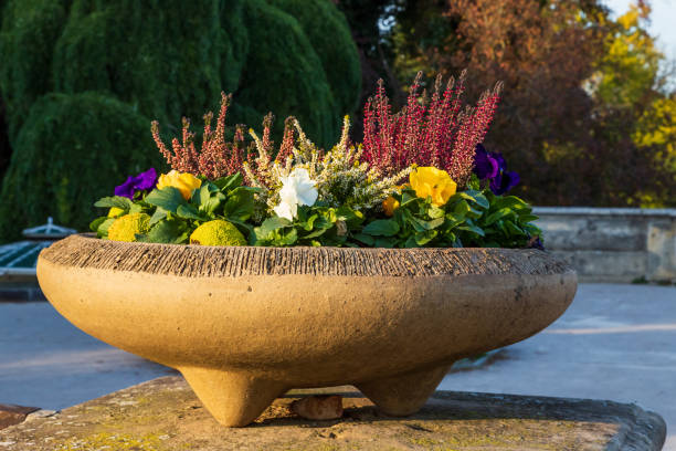 istock A stone container in which there are beautiful colorful spring flowers. 1644731167