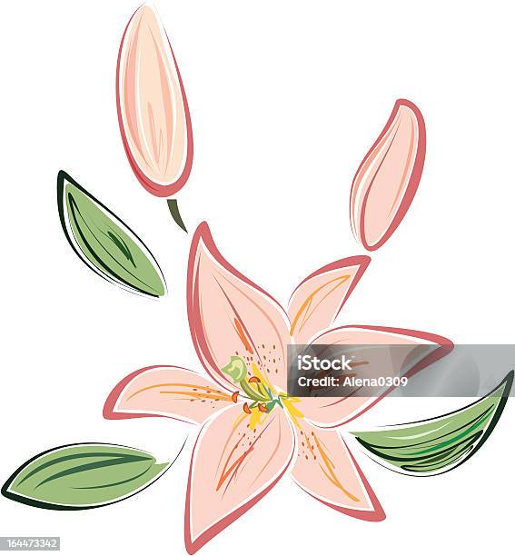 ピンクの Lily - おしべのベクターアート素材や画像を多数ご用意 - おしべ, イラストレーション, オニユリ花粉