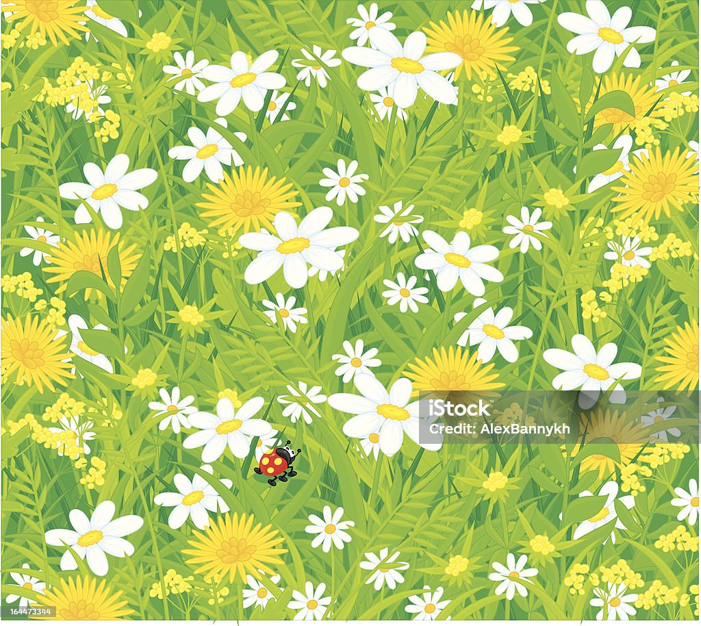 Ladybug and field flowers Vector background with wild flowers and ladybird creeping on a grass blade Agricultural Field stock vector
