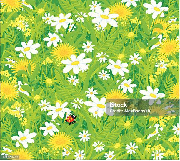 Ladybug And Field Flowers Stock Illustration - Download Image Now - Agricultural Field, Animal, Beetle