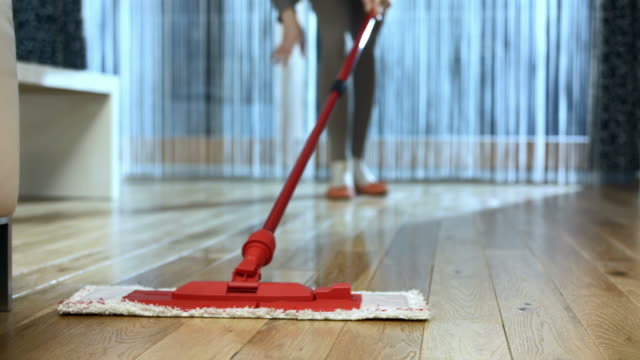 HD DOLLY: Mopping The Hardwood Floor
