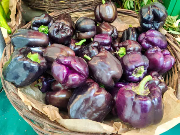 Purple peppers for sale at Marché Saxe-Breteuil, Paris, France, Europe