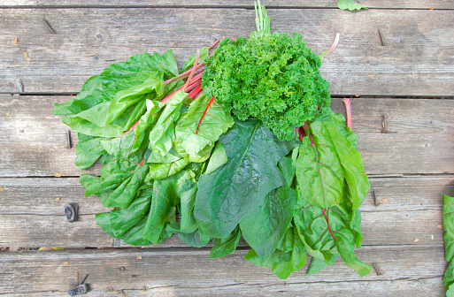 a variety of fresh herbs - chard, spinach, parsley.