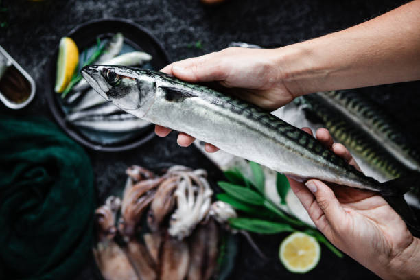 istock Point of view of chef preparing mackerel in kitchen 1644736179