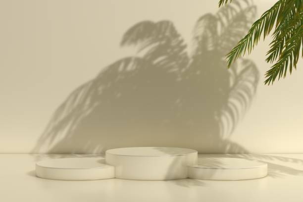 istock 3D Blank Product Presentation Stand. Empty Scene in Shadow of Palm Tree 3D Rendering 1644738231