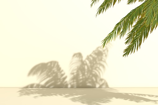 3D Blank Product Presentation Stand. Empty Scene in Shadow of Palm Tree 3D Rendering