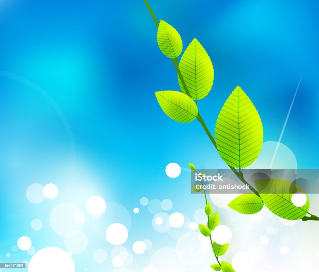 Vector green spring background Nature spring / summer background. Tree branch with fresh green leaves on blue sky. Abstract stock vector