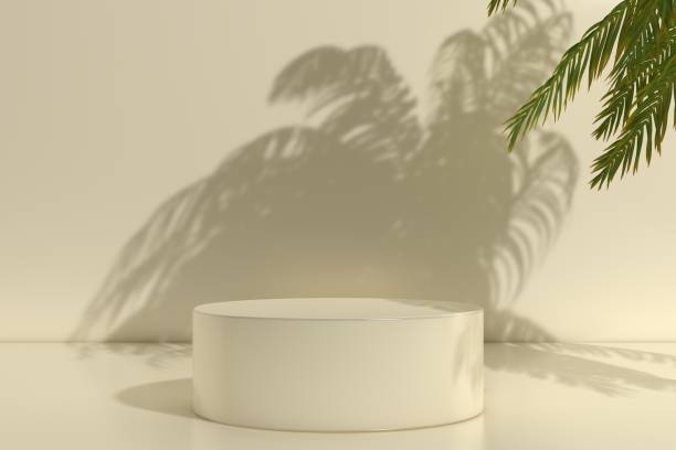 istock 3D Blank Product Presentation Stand. Empty Scene in Shadow of Palm Tree 3D Rendering 1644740825