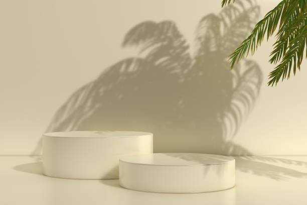 istock 3D Blank Product Presentation Stand. Empty Scene in Shadow of Palm Tree 3D Rendering 1644740844