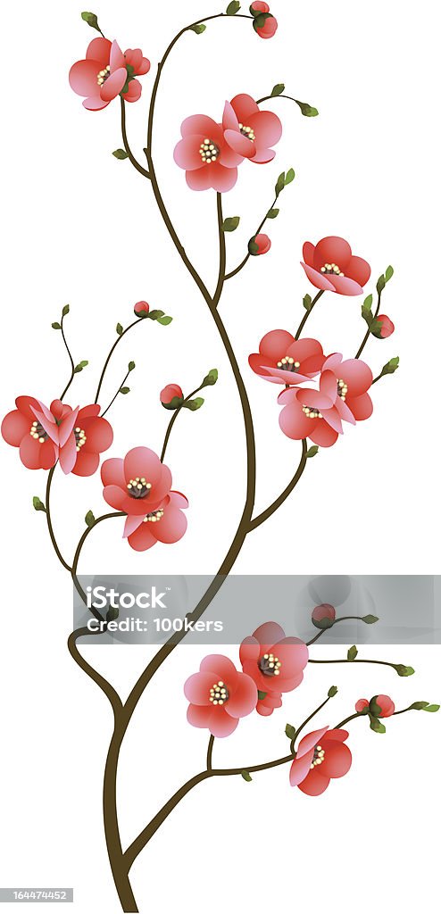 cherry blossom branch abstract background abstract background with cherry blossom branch isolated Abstract stock vector