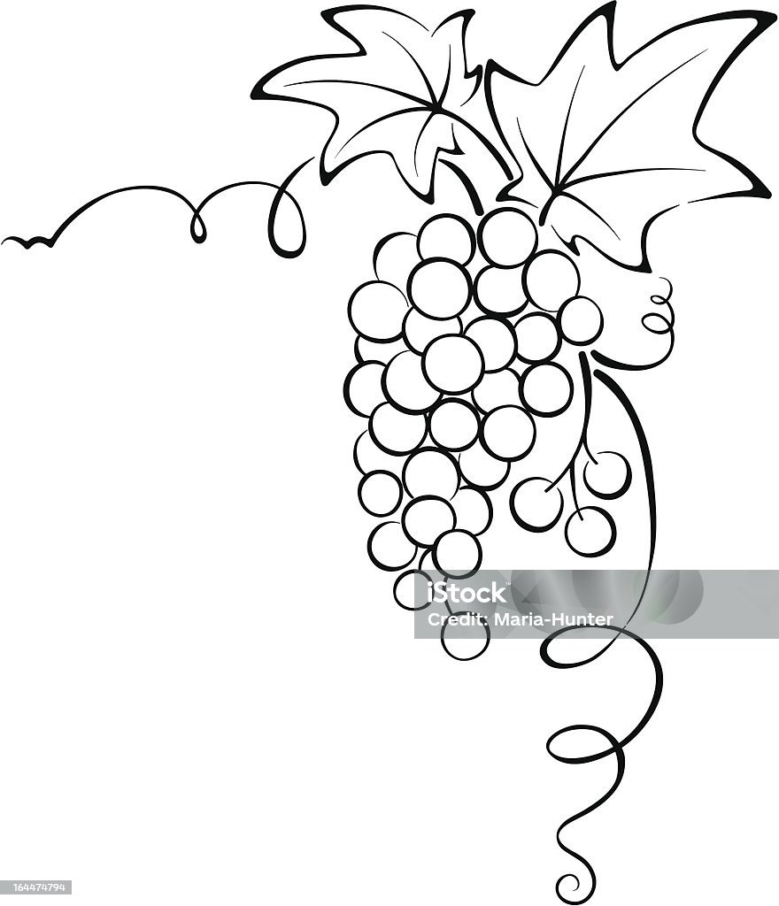 Graphic design - Grapevine Corner design element - the vine Simplicity stock vector