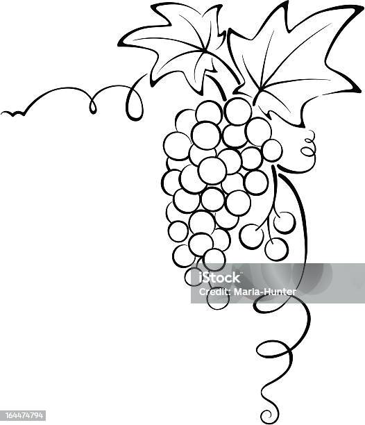 Graphic Design Grapevine Stock Illustration - Download Image Now - Simplicity, Vineyard, Alcohol - Drink