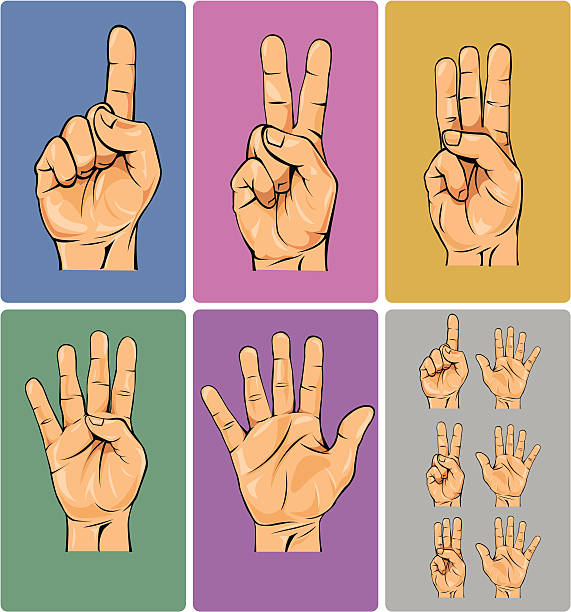 Hand Numbers Hand Numbers i 5 stock illustrations